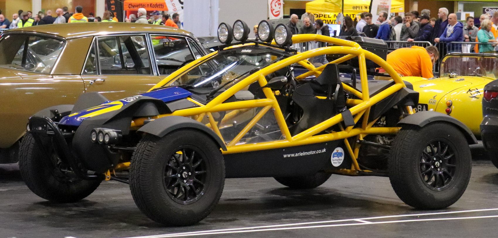 Ariel Nomad