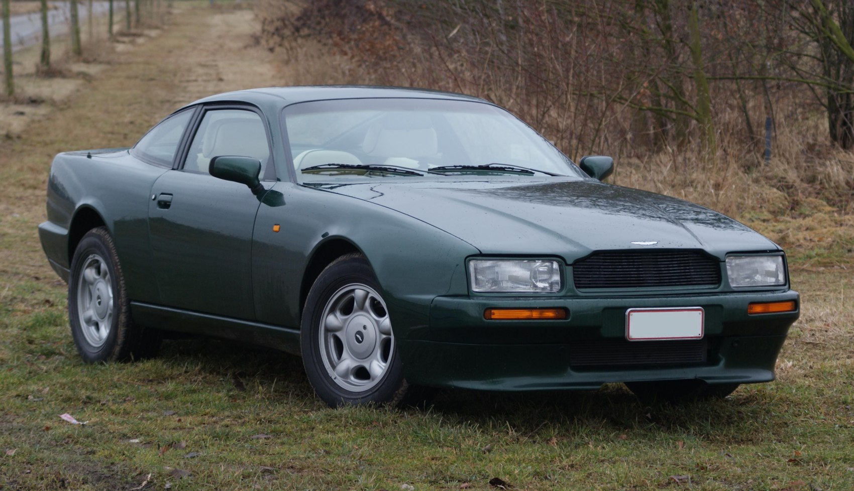 Aston Martin Virage 5.3 (336 Hp) Automatic