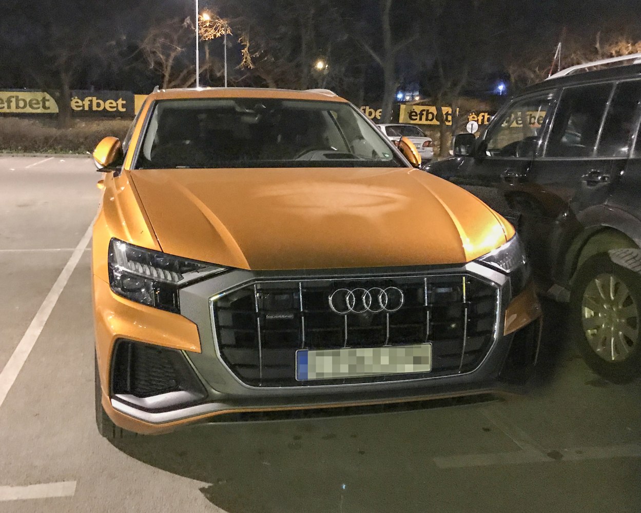 Audi Q8 60 TFSI e V6 (462 Hp) quattro tiptronic