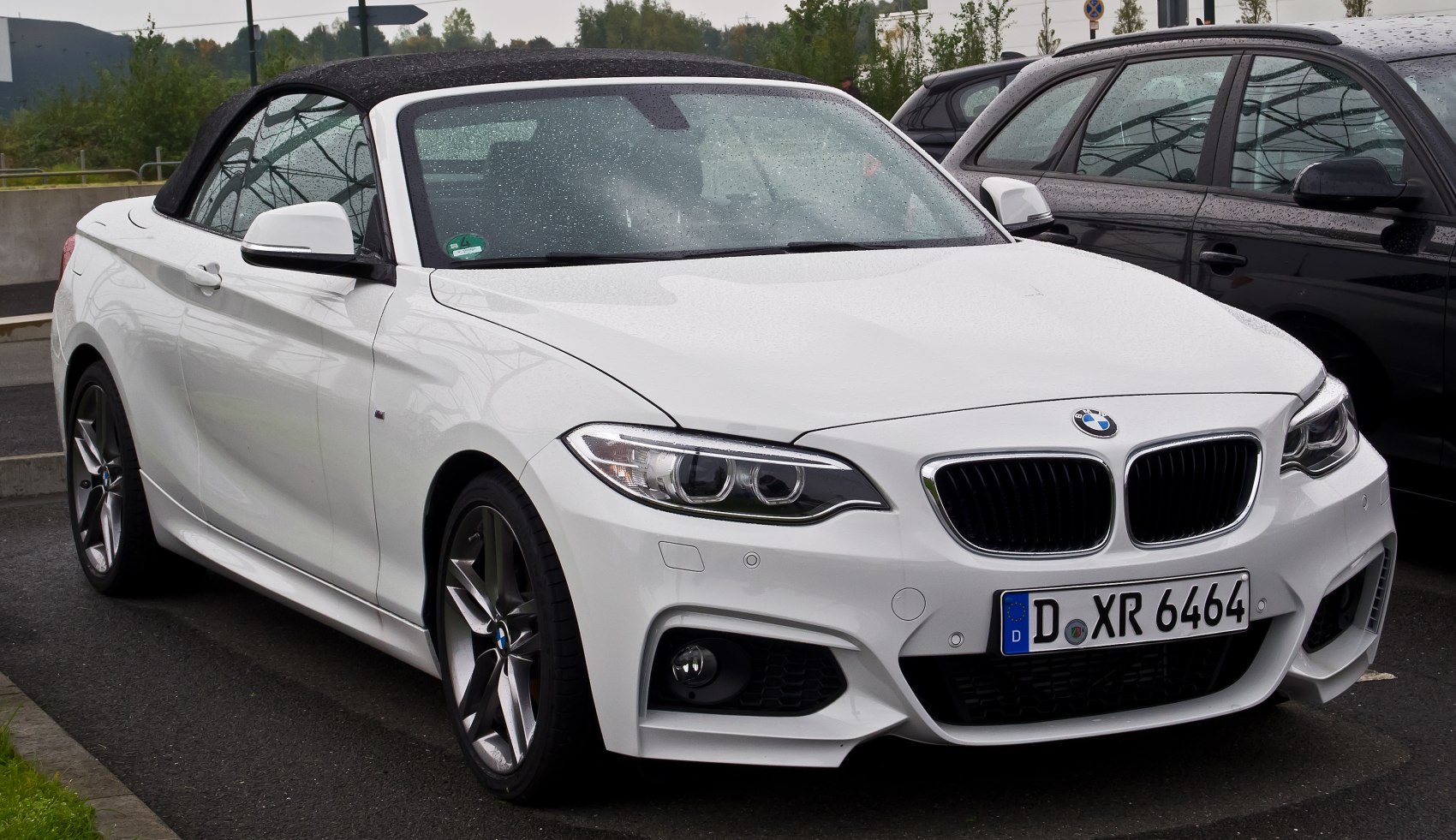 BMW 2 Series 228i (245 Hp)