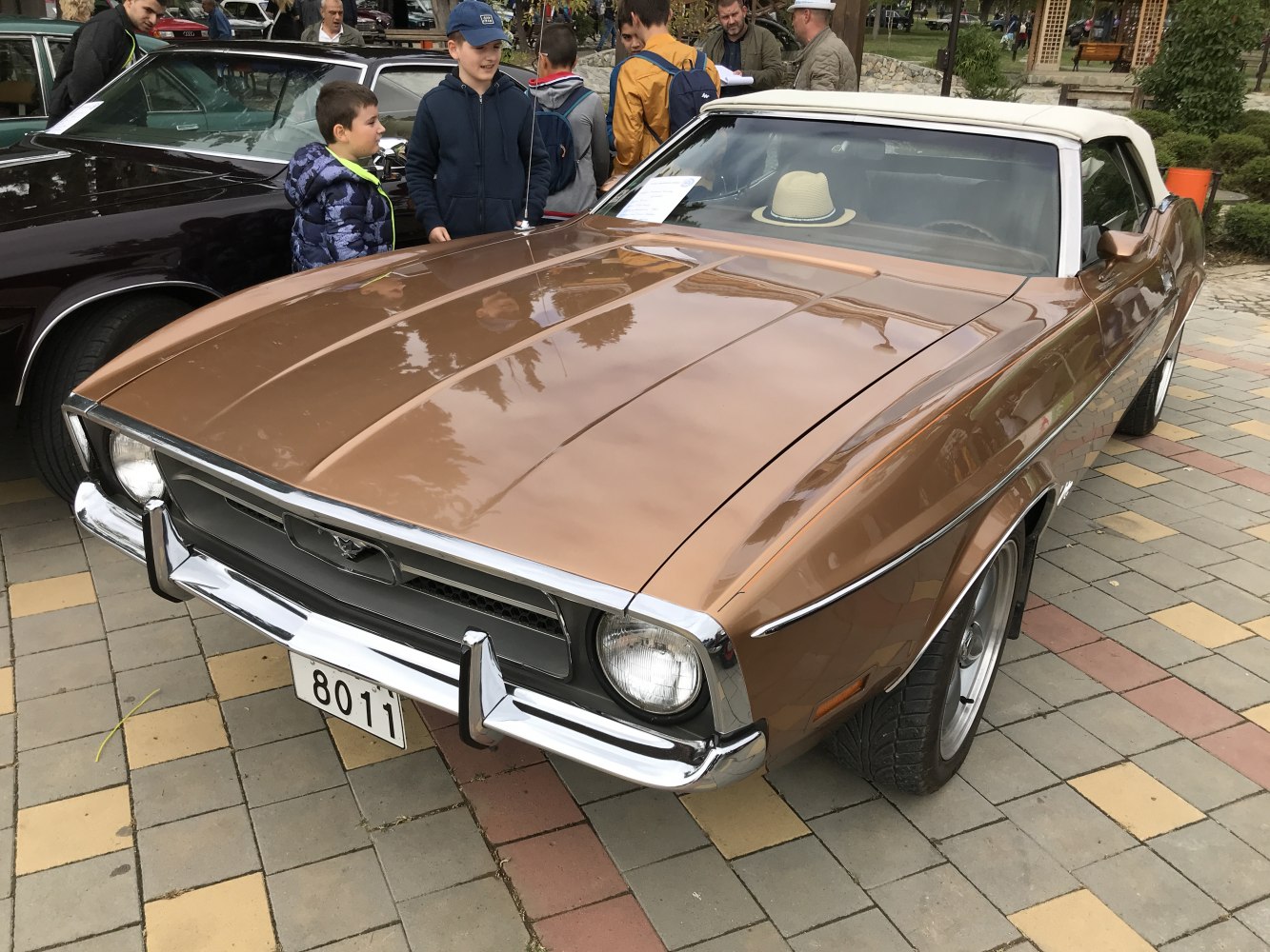 Ford Mustang 4.9 V8 (210 Hp)