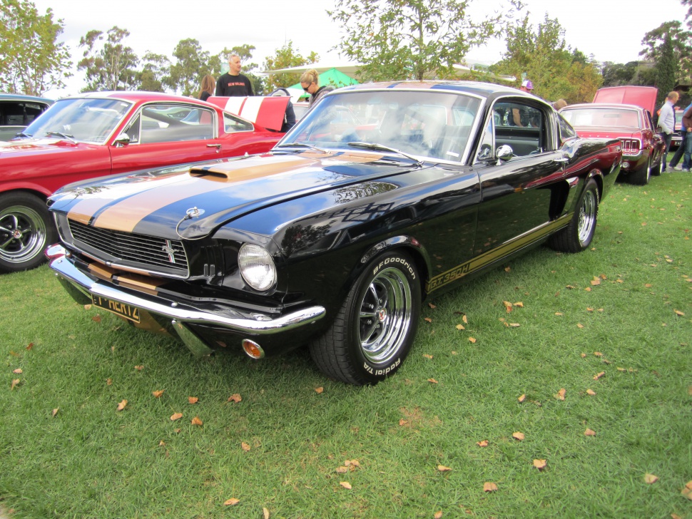 Ford Shelby GT 500 7.0 V8 (340 Hp) Automatic