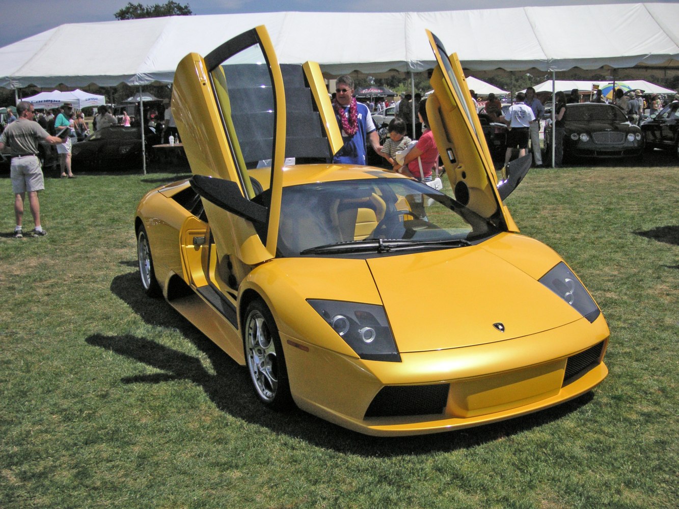 Lamborghini Murcielago 6.2 V12 48V (580 Hp)