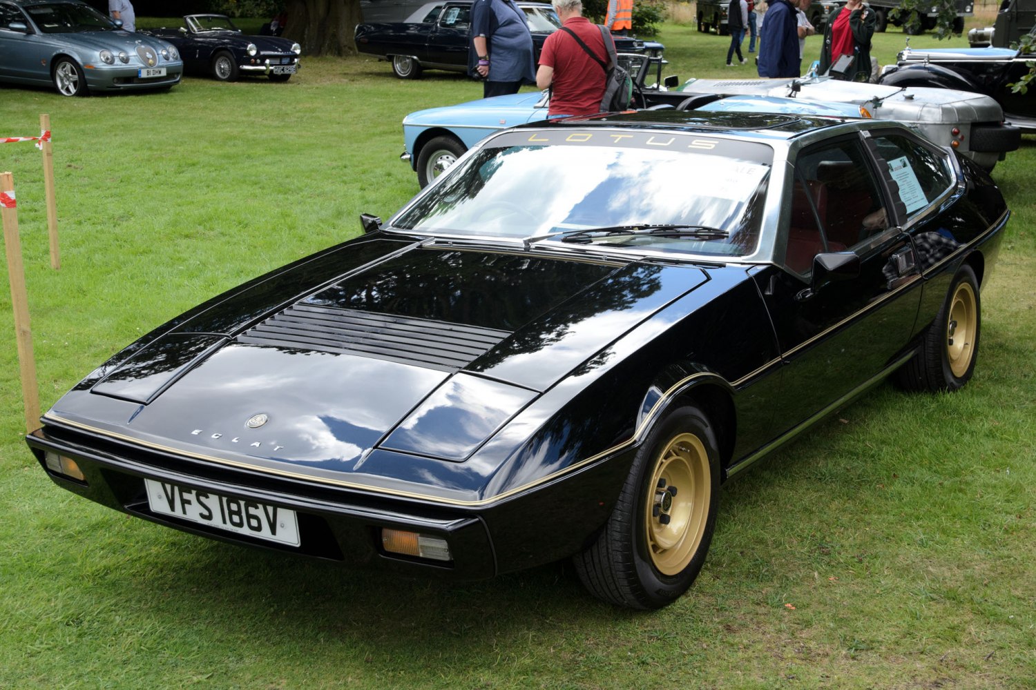 Lotus Eclat