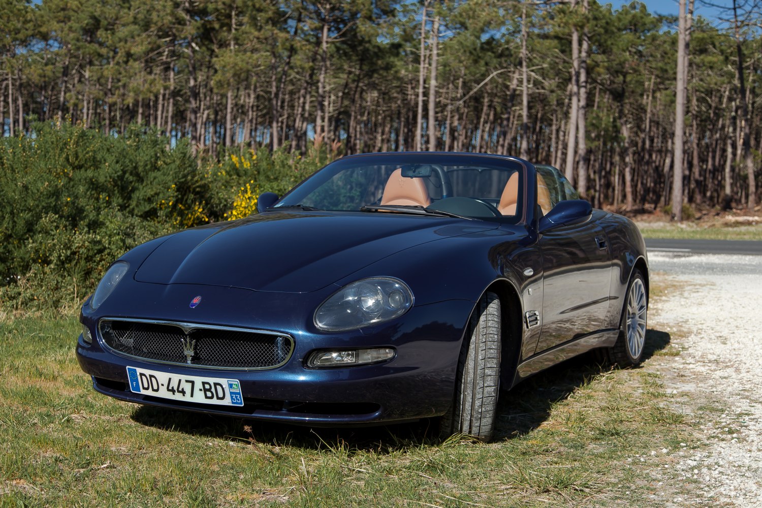 Maserati Spyder