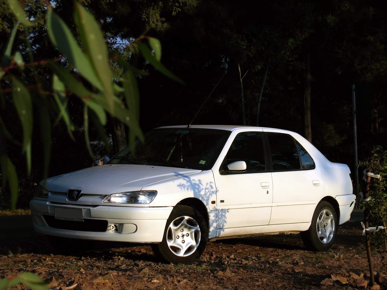 Peugeot 306