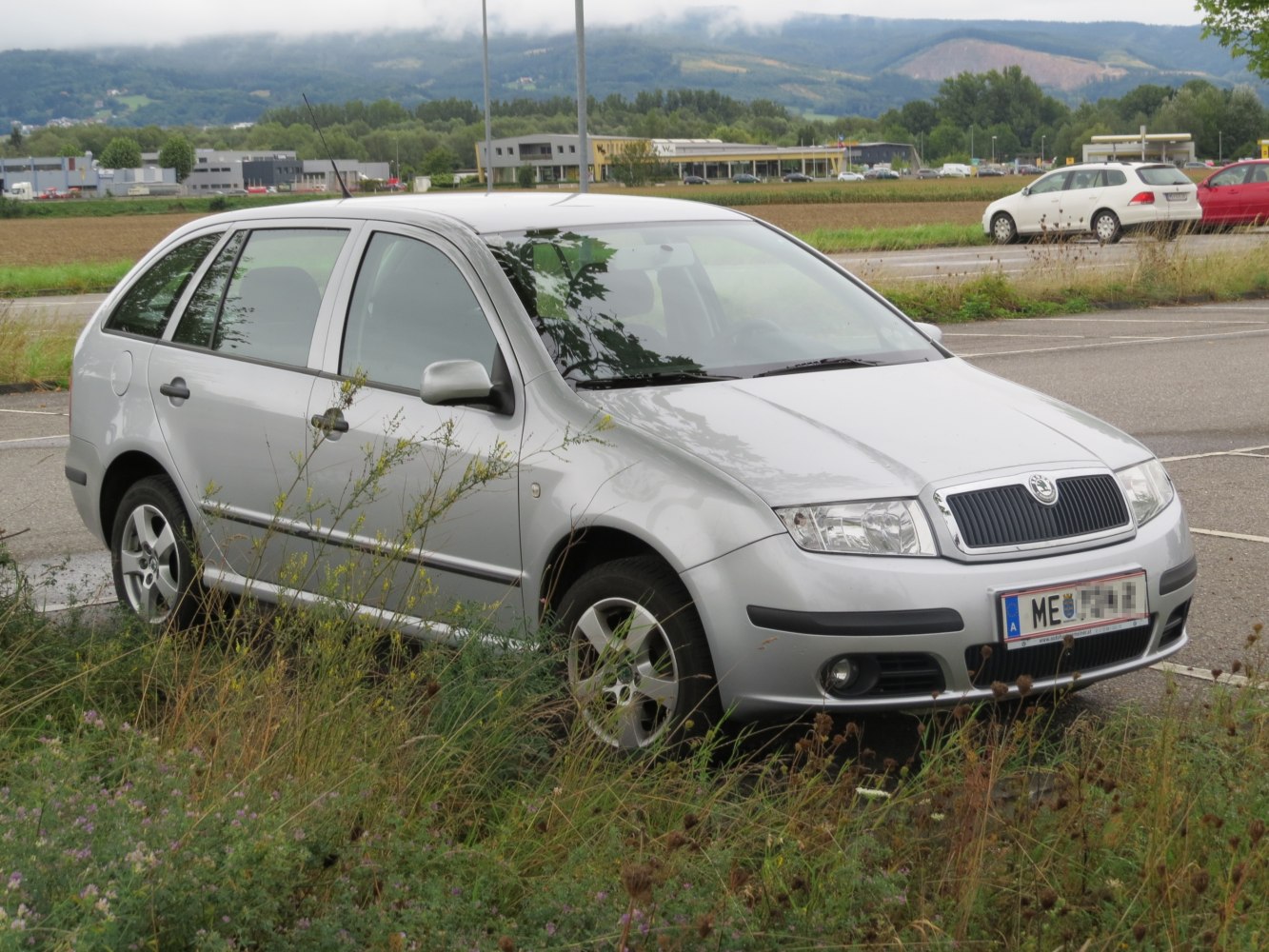 Skoda Fabia 1.4 TDI (80 Hp)