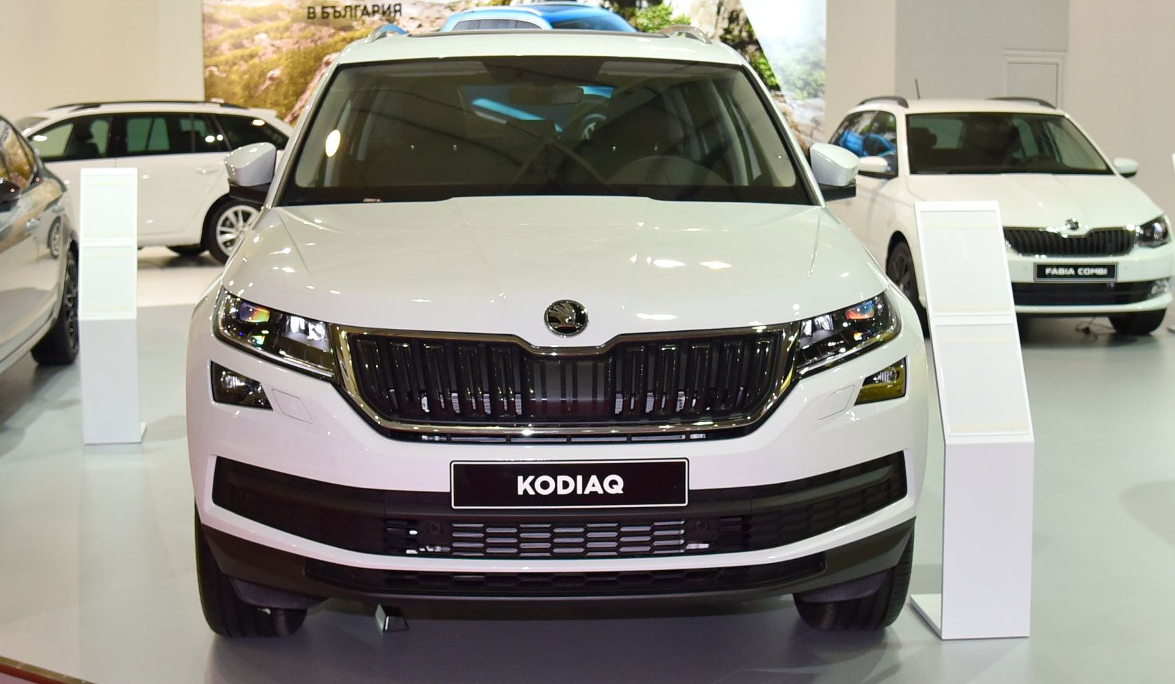 Skoda Kodiaq 2.0 TDI (177 Hp) 4x4 DSG